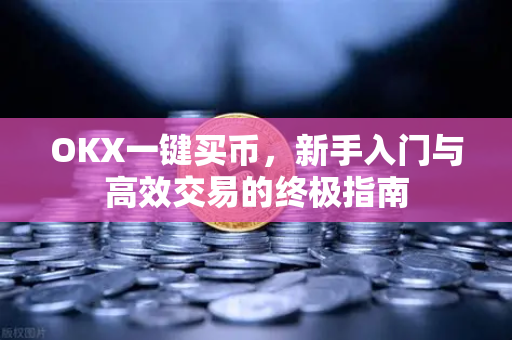 OKX一键买币，新手入门与高效交易的终极指南