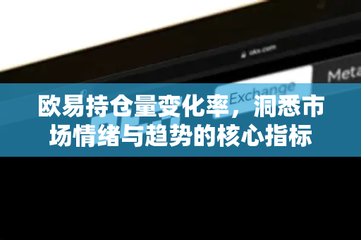 欧易持仓量变化率，洞悉市场情绪与趋势的核心指标