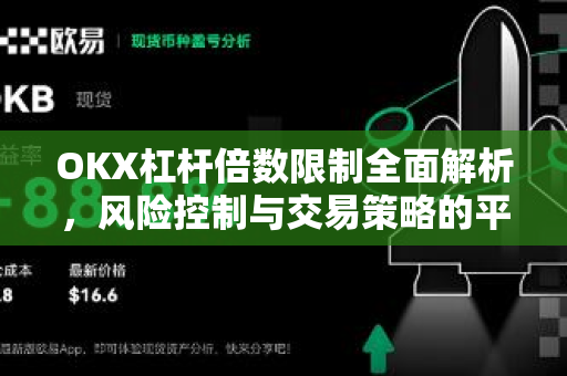 OKX杠杆倍数限制全面解析，风险控制与交易策略的平衡之道
