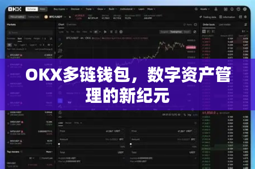 OKX多链钱包，数字资产管理的新纪元
